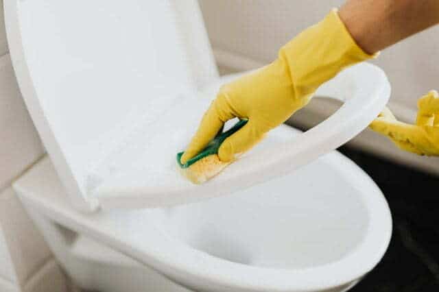 cleaning and preparing a toilet with a cellulose sponge and detergent