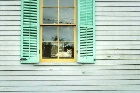 Green Vinyl Shutters open with paint on them