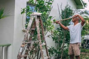 Repainting