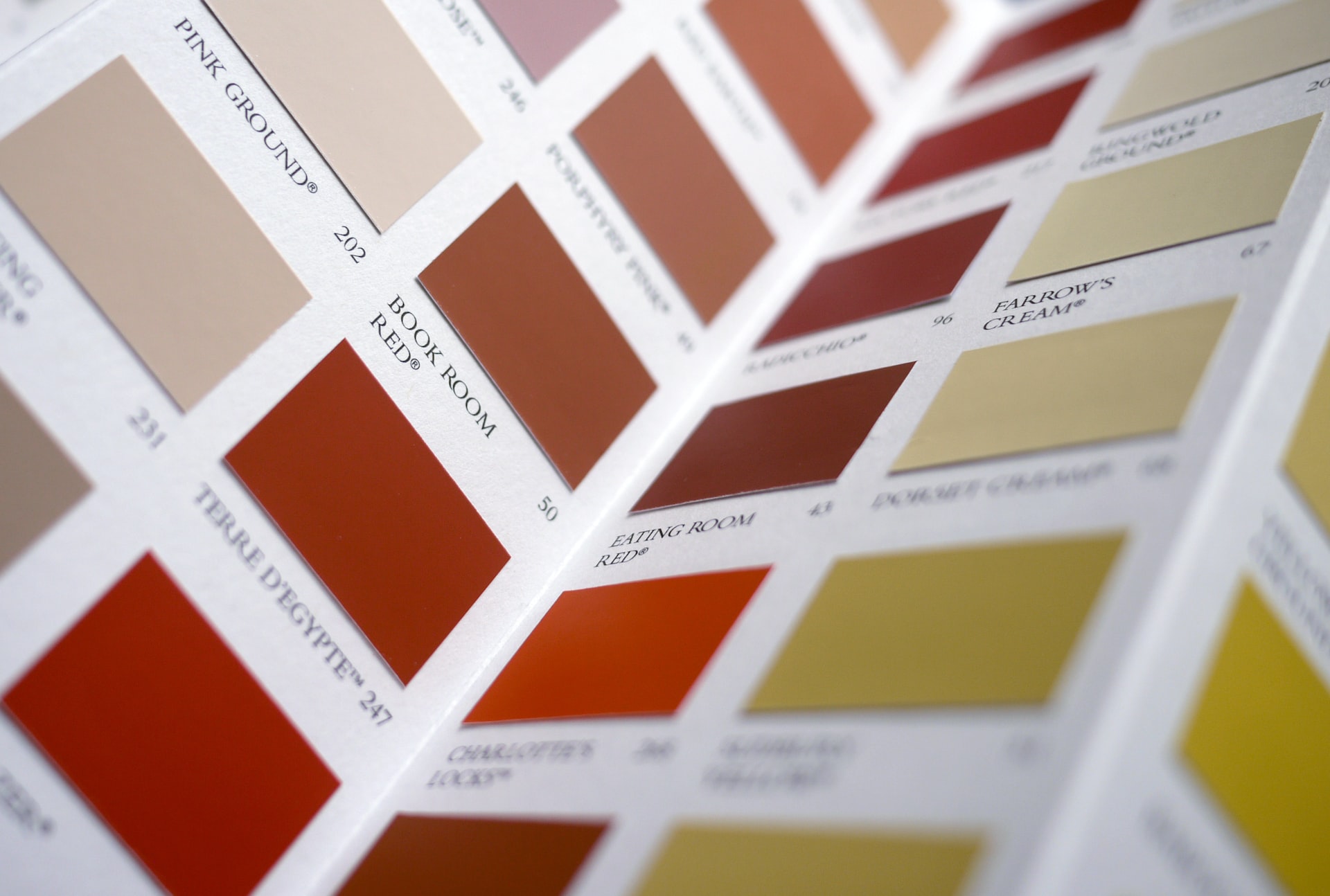 paint options